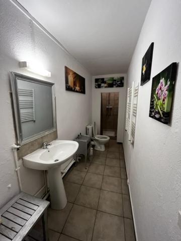 Cosy House T3 City Center, Museum, Place Carnot Καρκασόν Εξωτερικό φωτογραφία